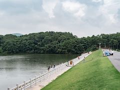 -佛手湖郊野公园
