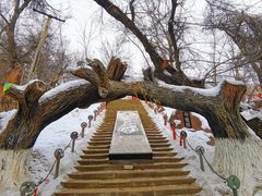 -水磨沟公园