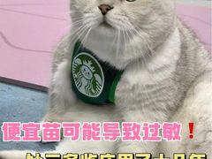 -瑞派·关忠动物医院(国瑞店)