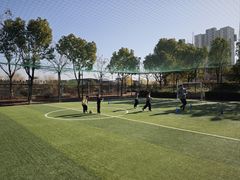 -小赛虎少儿足球培训(南翔校区)