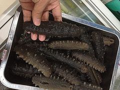 这胶质海参，简直就是根警棍，哈哈-双举海参(百意购物中心店)