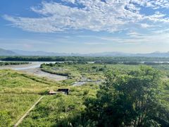 -福田红树林生态公园