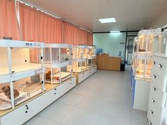 -翊宠yipet猫狗购宠庄园犬舍•猫舍