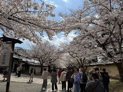 -醍醐寺