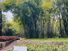 -晓港公园