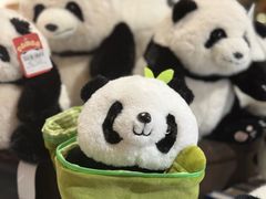 -雅安上里古镇