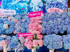 -盒马鲜生(皇庭广场店)