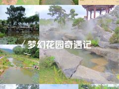 -东莞植物园