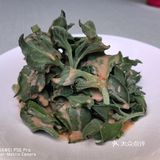 距离家非常近，正好五一聚餐选择这里真是太好了！