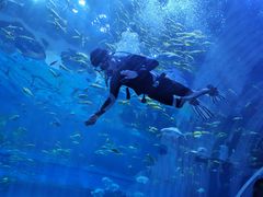 -华夏文旅海洋公园