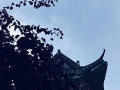 -东山湖公园