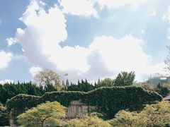 -嘉定紫藤园