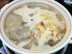 五指毛桃药膳乳鸽-鸽鸟轩(石岐店)