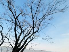 -上海吴淞炮台湾国家湿地公园