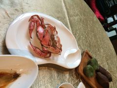老龙井御茶园(老龙井店)-十八棵（老龙井）御茶园(老龙井店)