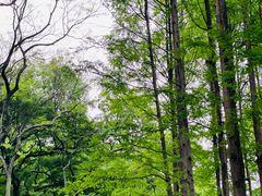 -浙江西子宾馆·瑶园咖啡厅