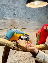 -Zoolung Zoolung动物主题公园(海信广场店)