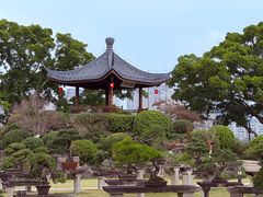 -江心屿景区