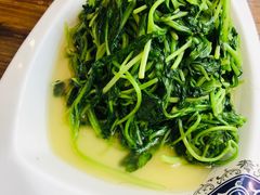 清炒鸡毛菜-川外川(星海店)