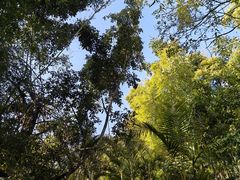 -荷花温泉