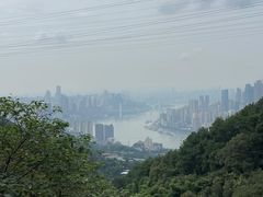 -南山植物园