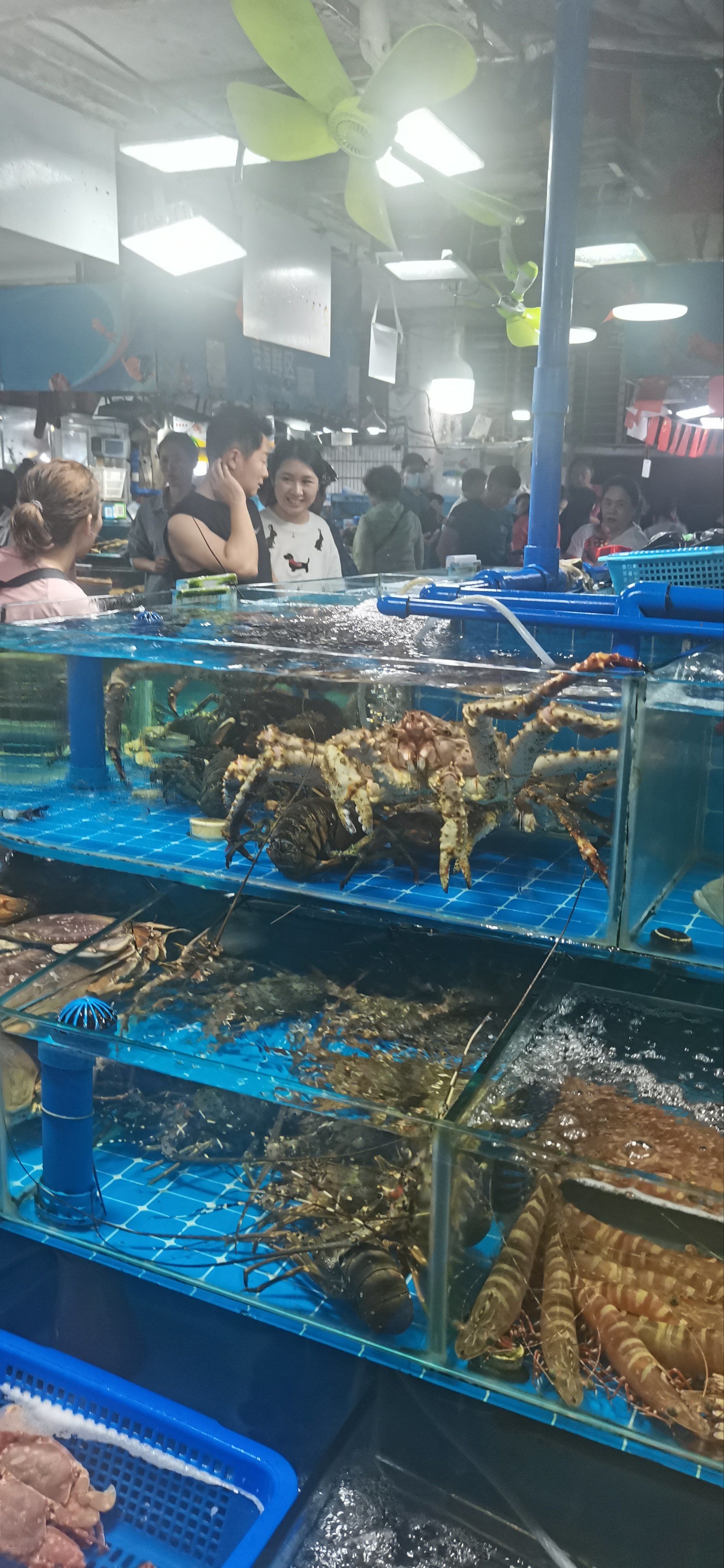 三亚海鲜第一市场,海鲜太全了,只有你想不