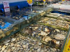 -添福来墨鱼饺子 · 海鲜东北菜(大连星海·黄浦路店)