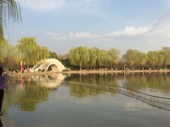 -洛阳市隋唐城遗址植物园