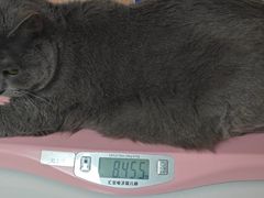 -谐和贝康宠物医院24小时·宠保定点(急重症转诊中心)