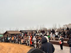 -盐城丹顶鹤湿地生态旅游区