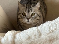 -中农大我爱我爱24h动物医院·中医针灸·猫专科·骨科医疗中心(双井店)