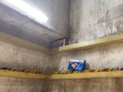 -五马集·海鲜·温州大牌档(黑金冠五马街十字路口店)