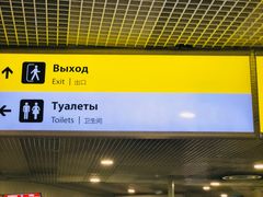 -谢列梅捷沃国际机场