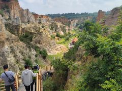 -彩色沙林风景区