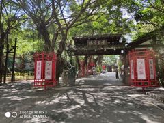 -东部华侨城