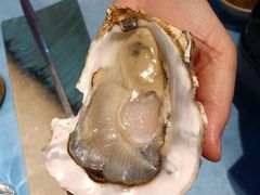 -千岛蚝高压锅生蚝·人参火锅(白云万达店)