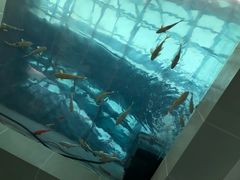 -上海长江河口科技馆