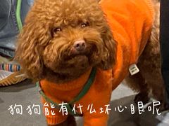 -茶颜悦色(岳麓山顶店)