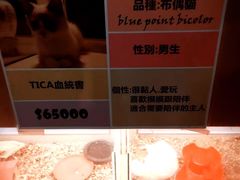 -尊爵天际大饭店 (近台茂)