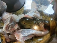 -石锅苗苗鱼(武汉首店)