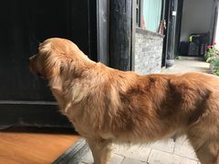 -浔岚云舍mist静谧观景美宿(丽江古城店)