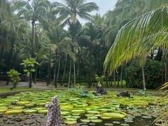 -中国科学院西双版纳热带植物园