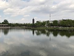 -西海子公园