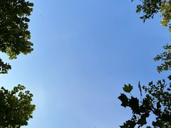 -钰田大院·怀柔地道农家菜·烤虹鳟鱼(雁栖湖店)