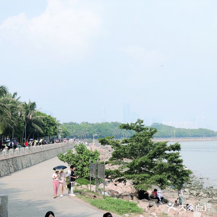 深圳旅游攻略 | 畅享惬意的红树林之旅🌴