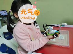 -童程童美信奥赛科技特长·乐高编程科创机器人(旭辉校区)