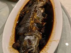 -国御温泉度假小镇