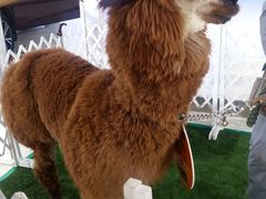 -沈阳国际会展中心管理有限公司