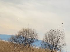 -东山风景区(洞庭东山)
