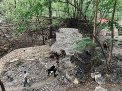 -北京上方山国家森林公园